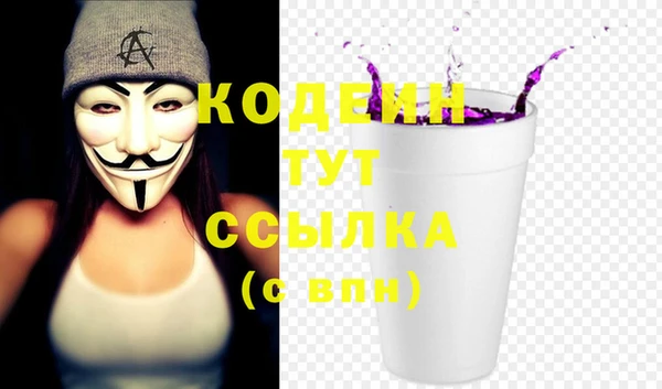 spice Аша