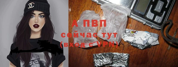 spice Аша