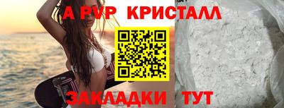 прущие крисы Будённовск