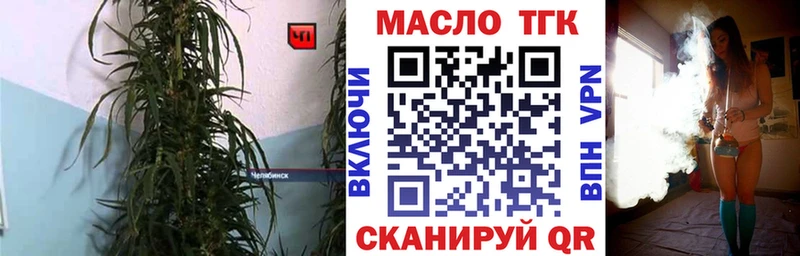 MEGA   Выборг  ТГК Wax 