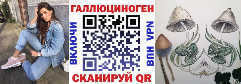 Галлюциногенные грибы мицелий  Выборг 