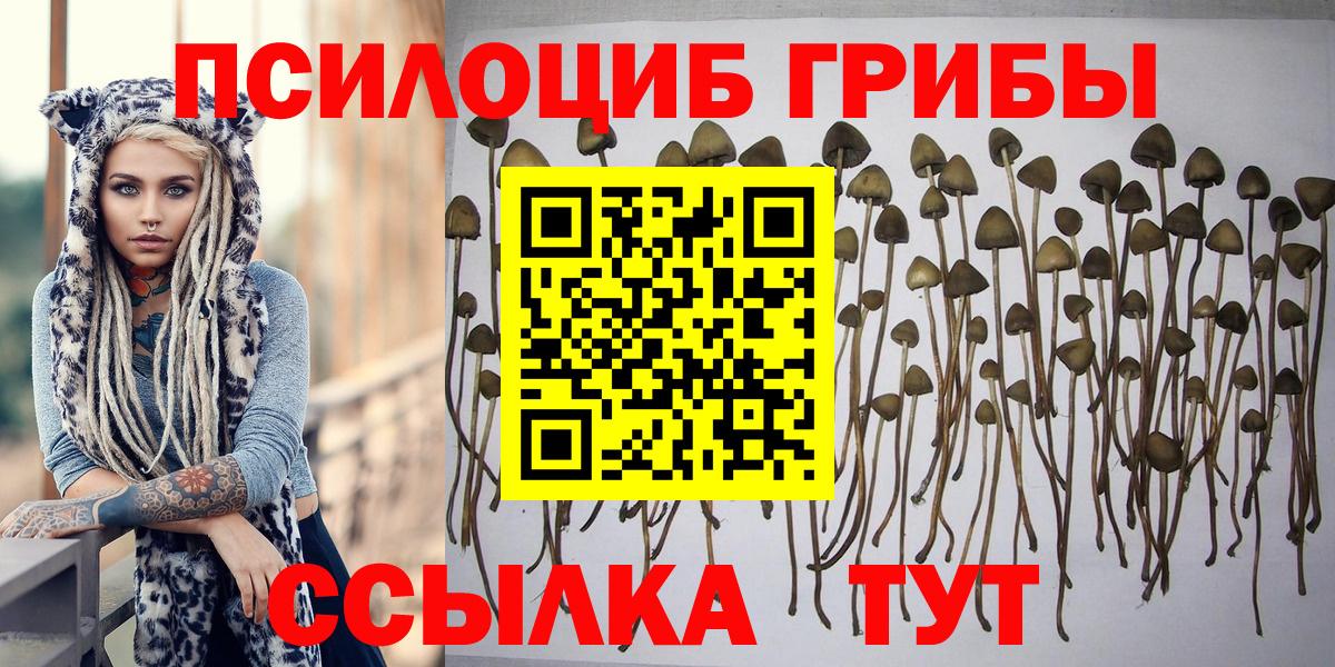 Кислота  Метадон  Вход с VPN  Как найти закладки?  Выборг  CBD масло  КОКАИН  МАРИХУАНА  Мяу-Мяу 