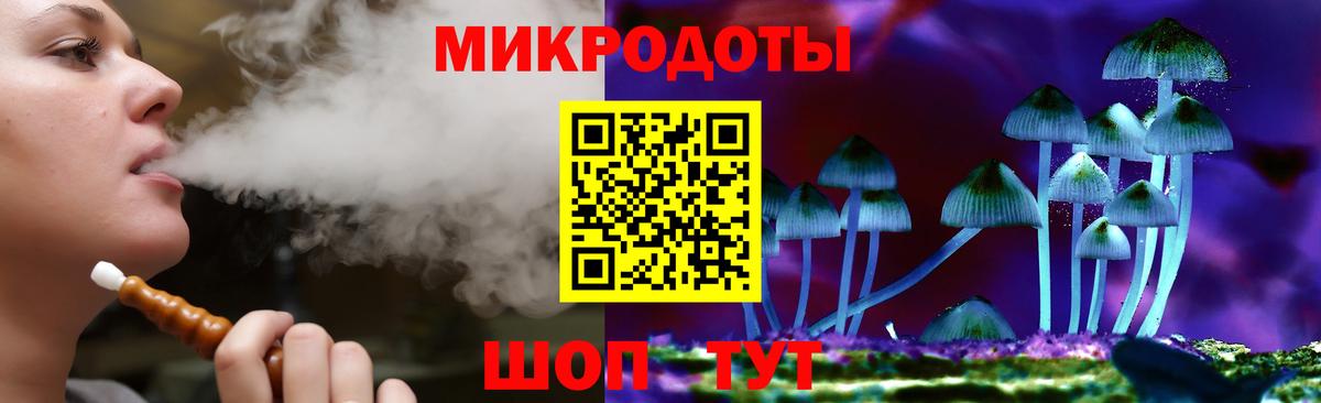 Псилоцибиновые грибы мицелий Выборг