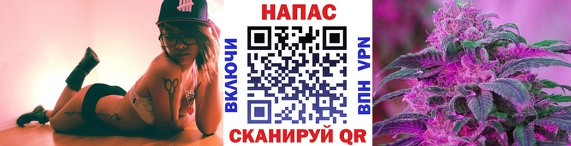 Каннабис сатива  Выборг 